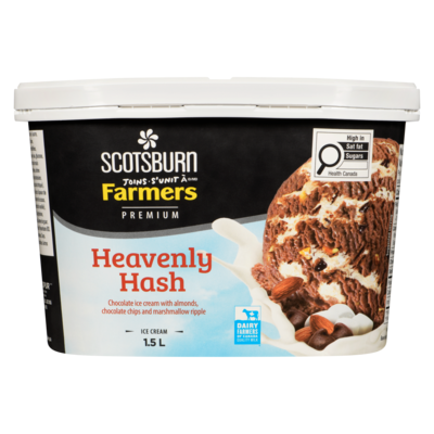 Premium Heavenly Hash Ice Cream