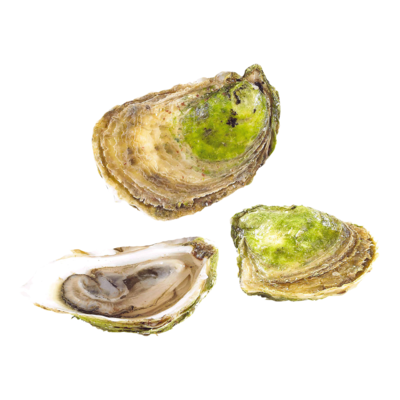 null Beau Soleil Oysters 1 ea, $1.99/1ea