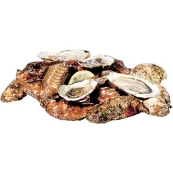 null Huîtres Malpeque, grandes 1 ea, 2,49 $/1ch