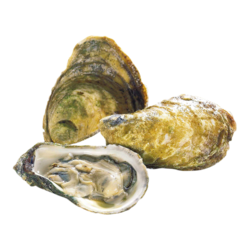 null Raspberry Point Oysters, 50 Piece 1 ea, $1.99/1ea