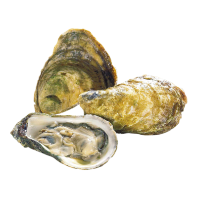 null Raspberry Point Oysters, 50 Piece 1 ea, $1.99/1ea