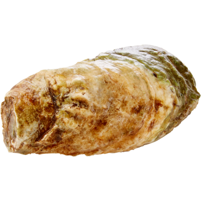 null Huîtres Lucky Lime 1 ea, 1,99 $/1ch