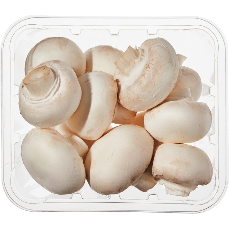 White Mushrooms