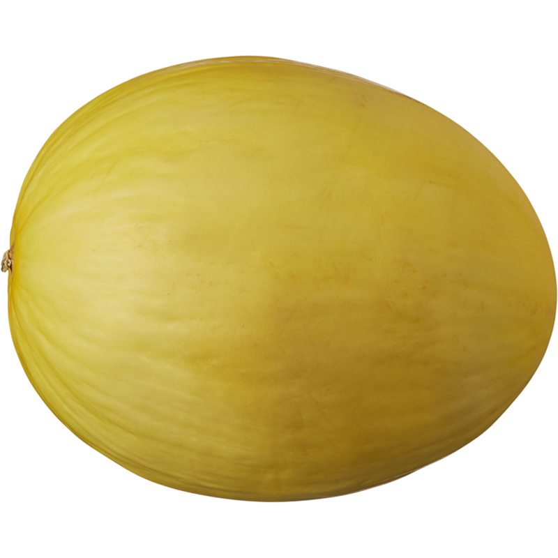 Canary Melon