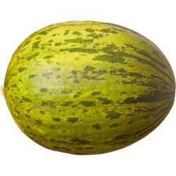 null Santa Claus Melons $3.70/1kg $1.68/1lb