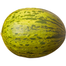 null Melons Santa Claus 3,70 $/1kg 1,68 $/1lb