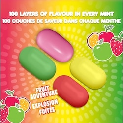 Tic Tac Mints, Fruit Adventure, Mint Candy, 60 Pills - 29 g | Zehrs