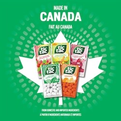 あめ Rainforest Frogs Gummy Candy | Bulk Candies | Albanese – Candy