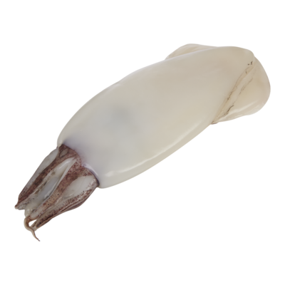 null Calmar entier nettoyé frais 30,84 $/1kg 13,99 $/1lb