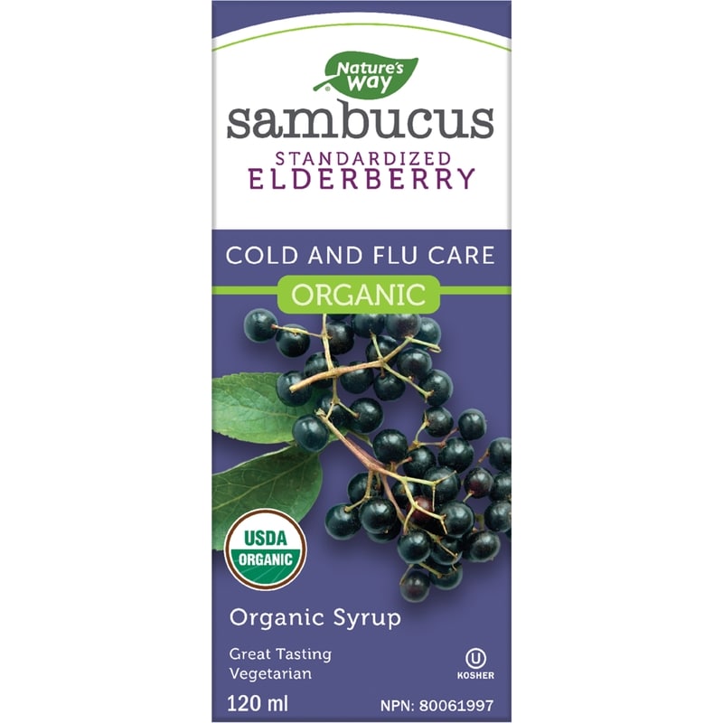Sambucus, Cold and Flu Care Standardized Elderberry Organic 120ml Syrup