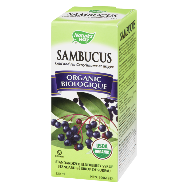Sambucus, Cold and Flu Care Standardized Elderberry Organic 120ml Syrup