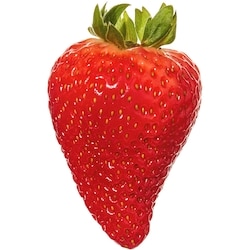 President's Choice Greenhouse Grown Ontario Strawberries - 340 g