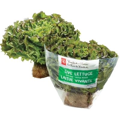 President's Choice Live Red Leaf Lettuce - 1 Unit 350 g, $3.99/1ea