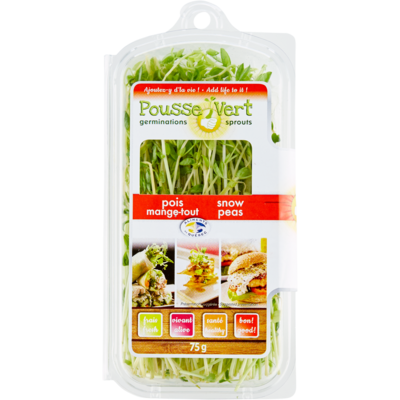 Pousses de pois mange-tout