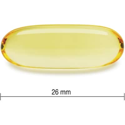 Wild Salmon and Fish Oils Omega-3 Complex 1,000 mg Value Size