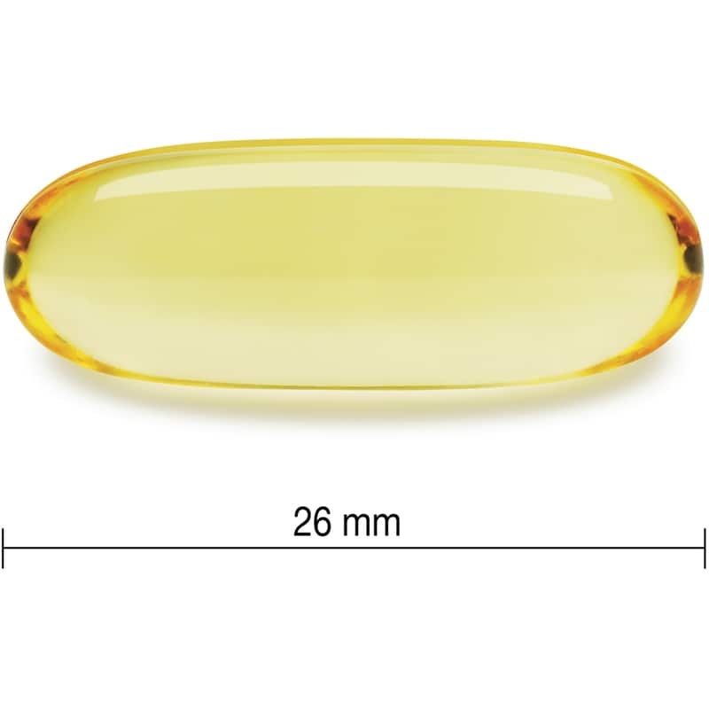 Wild Salmon and Fish Oils Omega-3 Complex 1,000 mg Value Size