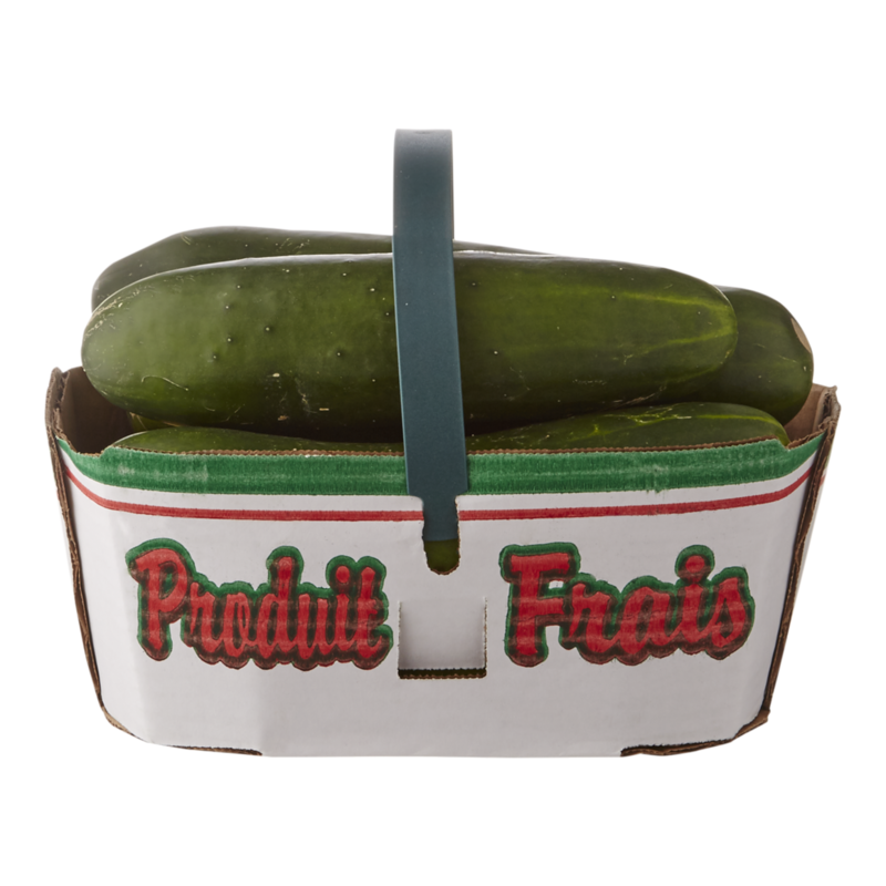 Field Cucumbers, Basket