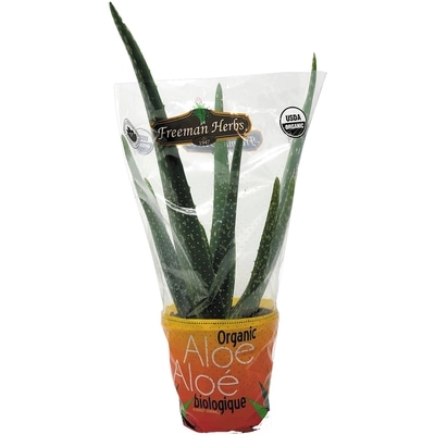 null Aloe Vera 1 ea, $8.00/1ea
