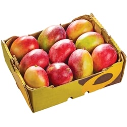 null Mango Case 1 ea, $9.98/1ea