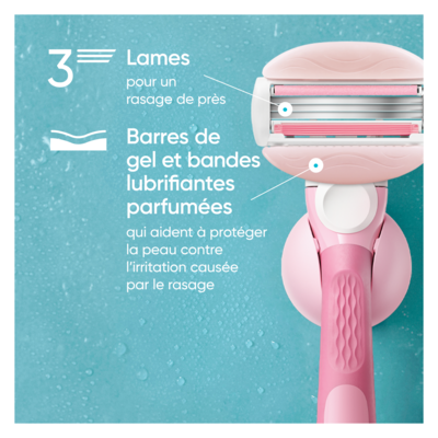 Gillette Cartouches de rechange de rasoir ComfortGlide White Tea pour femmes, 6 unités 6 ea, 5,50 $/1ch