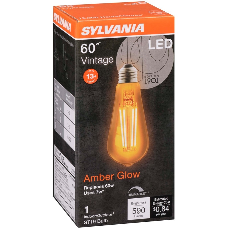 15000 Hour LED 6W ST19