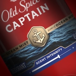 Old Spice RED LABEL 青スティック Old Spice Red Collection Deodorant for Men, Captain Scent - 85 g