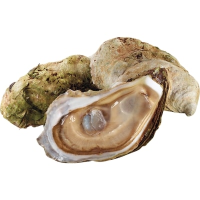 null Huîtres Pickle Point 1 ea, 1,99 $/1ch
