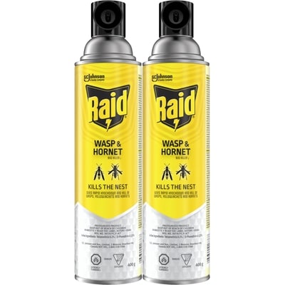 Raid Wasp and Hornet Insect Killer Spray 2x1.0 ea, $11.00/1ea