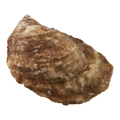 null Lucky Lime Oysters 1 ea, $1.79/1ea