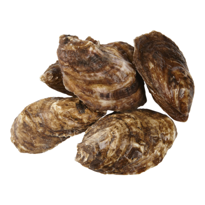 null Oysters 1 ea, $1.99/1ea