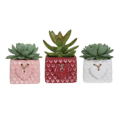 null Mini Succulent 1 ea, $8.00/1ea