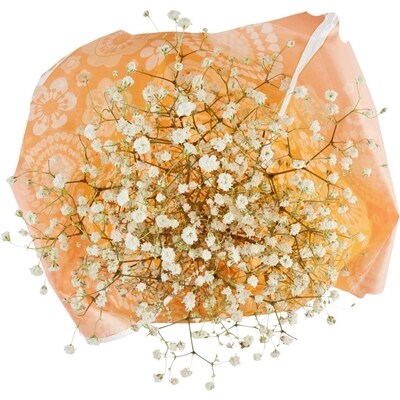 le Choix du Président Souffles de bébé 1 ea, 7,00 $/1ch