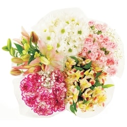 le Choix du Président Bouquet de mini-œillets 1 ea, 10,00 $/1ch