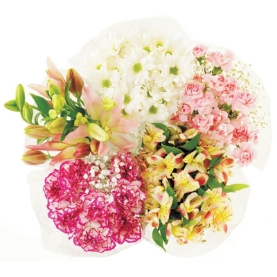 le Choix du Président Bouquet de mini-œillets 1 ea, 10,00 $/1ch