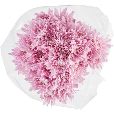 le Choix du Président Bouquet de chrysanthèmes 1 ea, 10,00 $/1ch