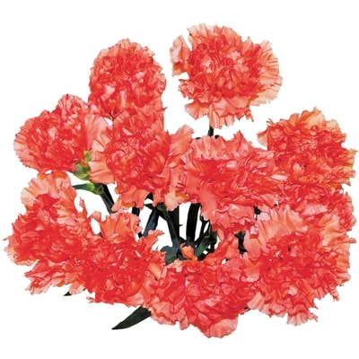 President's Choice Carnations bunch 1 ea, $8.00/1ea