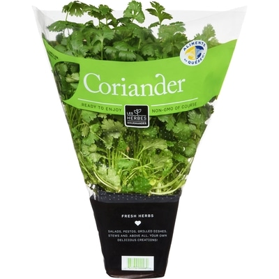 null Fresh Coriander, 4" Pot 1 ea, $4.99/1ea