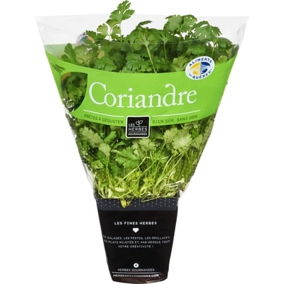 null Coriandre fraîche en pot, 4 po 1 ea, 6,00 $/1ch