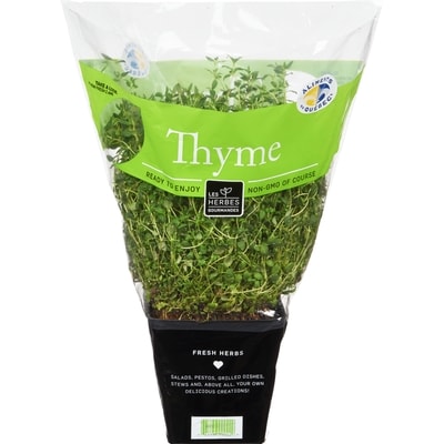 null Fresh Thyme, 4" Pot 1 ea, $4.99/1ea