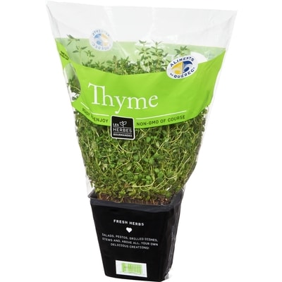 Fresh Thyme, 4" Pot