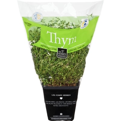 null Thym frais en pot, 4 po 1 ea, 6,00 $/1ch