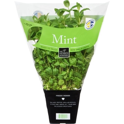 null Fresh Mint, 4" Pot 1 ea, $4.99/1ea