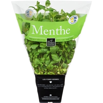 null Menthe fraîche en pot, 4 po 1 ea, 4,99 $/1ch