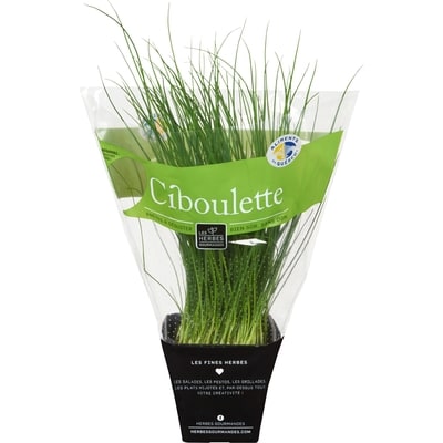 null Ciboulette fraîche en pot, 4 po 1 ea, 4,99 $/1ch