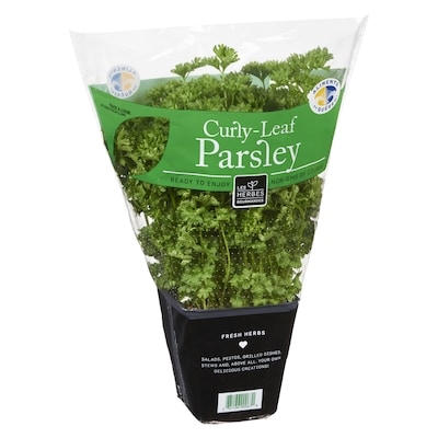 Curly Leaf Parsley