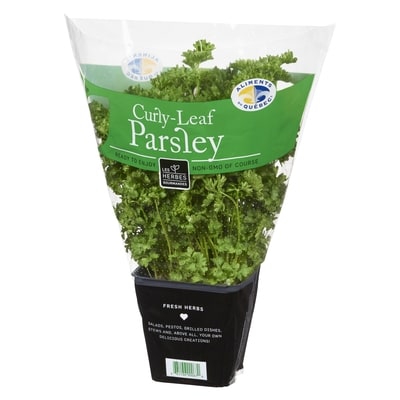 Curly Leaf Parsley