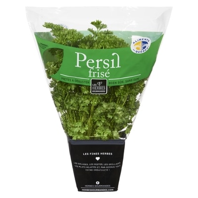 null Persil frisé en pot, 4 po 1 ea, 4,99 $/1ch