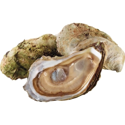 null Huîtres Shiny Sea 1 ea, 1,99 $/1ch