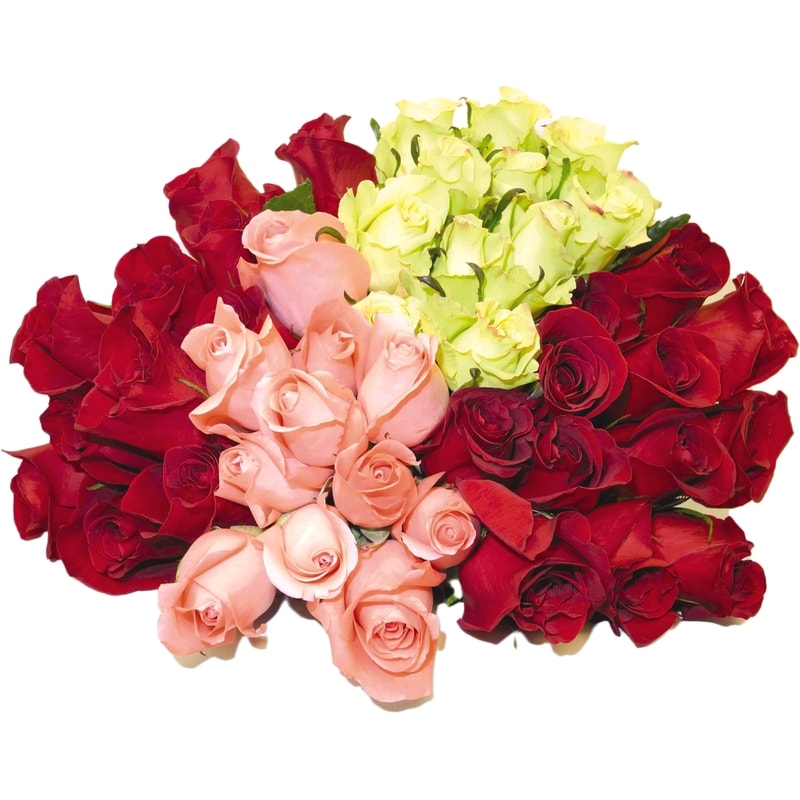 Dozen roses, assorted colours