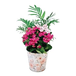null Spring Planter, Small 1 ea, $18.00/1ea